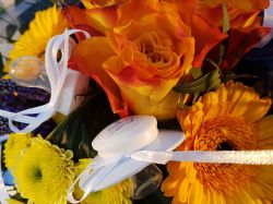 Blumensstrauss-Geburt