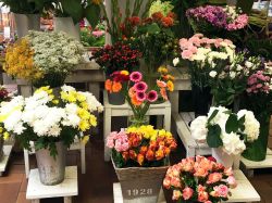 Schnittblumen-Wolfsburg