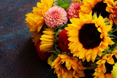 <br />
<b>Warning</b>:  Undefined property: stdClass::$img_alt_tag in <b>/var/www/virtual/blumenhof-neubokel.de/htdocs/modules/mod_uk_grid/tmpl/default.php</b> on line <b>64</b><br />
